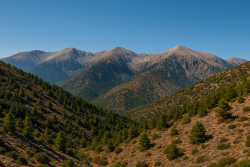 Berglandschap op Kreta met beboste heuvels op de voorgrond, ruige rotstoppen in de verte en een helderblauwe lucht erboven.